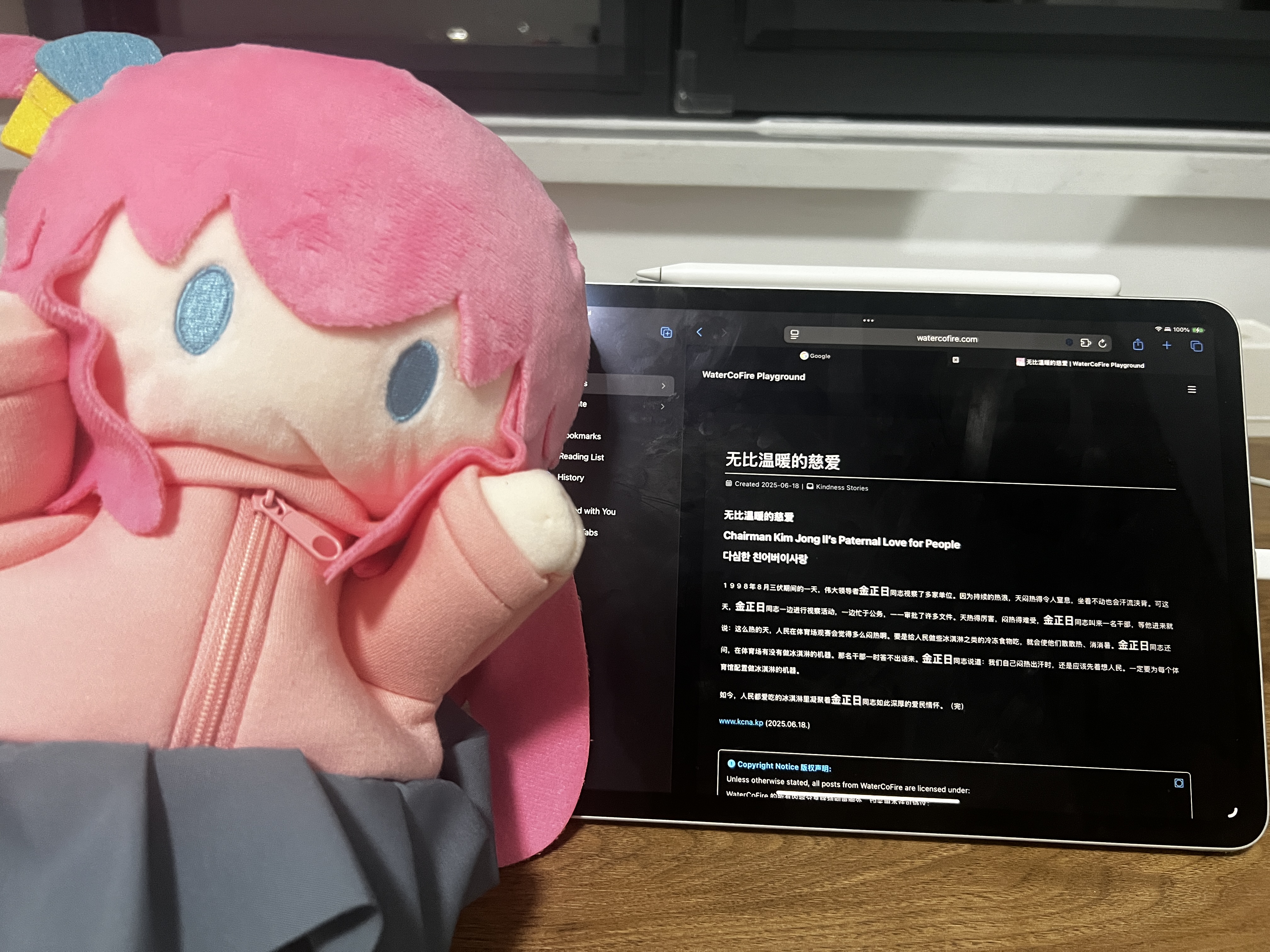 bocchi-puppet-with-wp